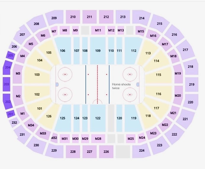 Little Caesars Arena Handicap Seating Chart